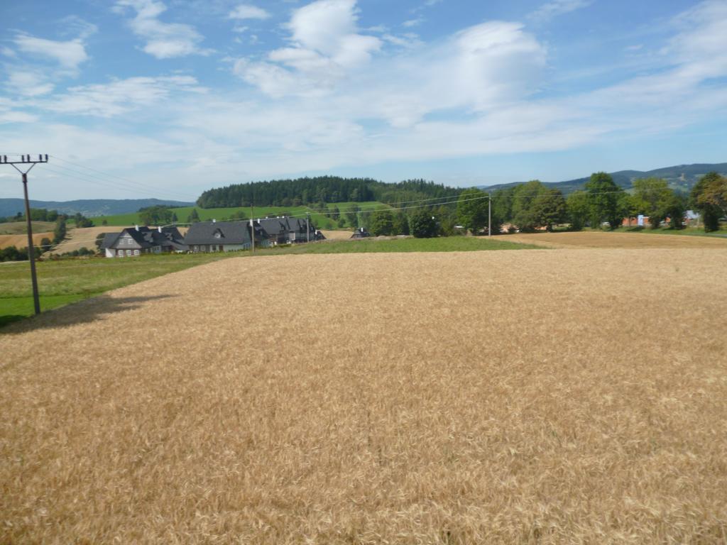 Vysoké nad Jizerou Pension Pugner מראה חיצוני תמונה