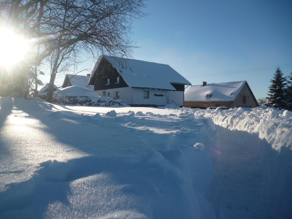 Vysoké nad Jizerou Pension Pugner מראה חיצוני תמונה